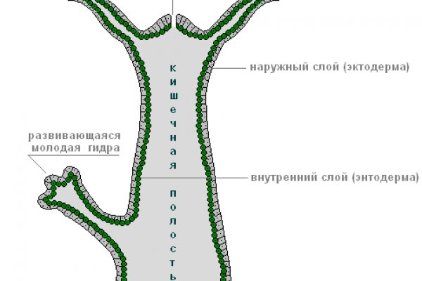 Кракен сайт купить счастье