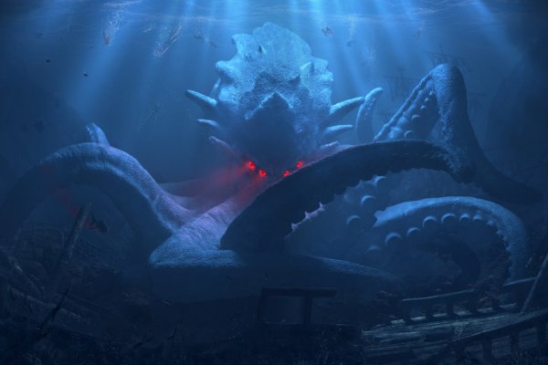 Kraken place