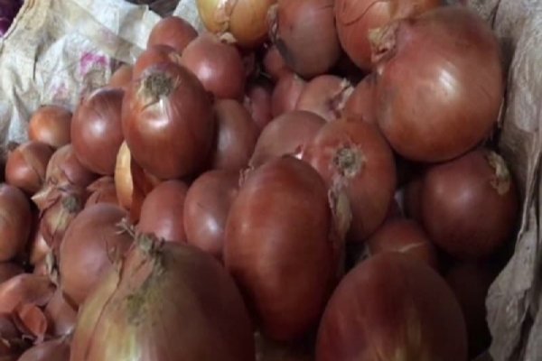 Kraken рабочее зеркало onion