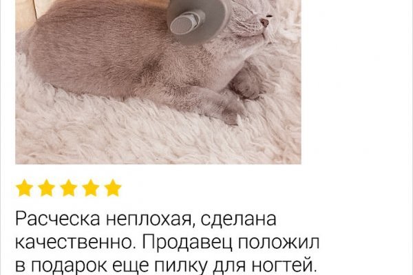 Ссылки на сайты супернета
