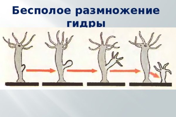Супернет официальный сайт на русском