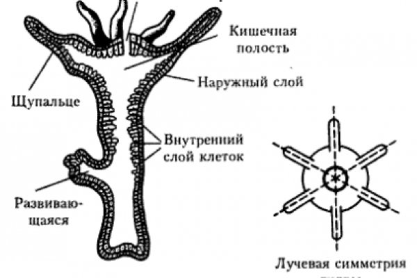 Кракен площадка ссылка