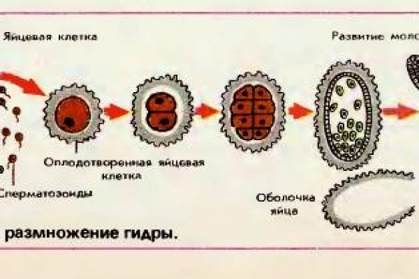 Kraken ссылка onion 2kmp