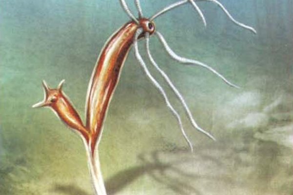 Кракен сайт 1kraken me вход
