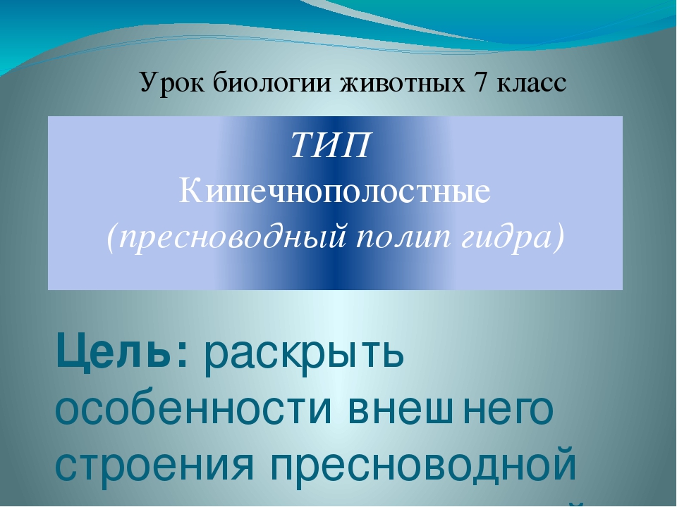 Kraken ссылки актуальные 2025 г
