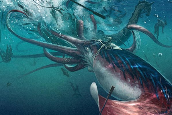 Kraken whitenet kraken whitenet 2n com