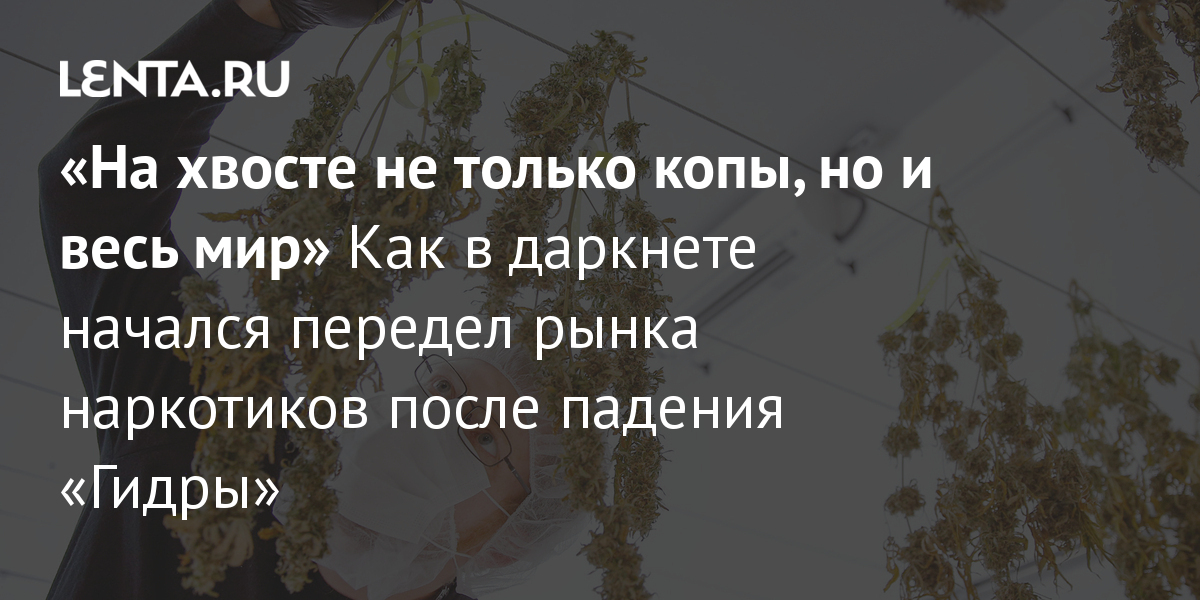 Магазин кракен как попасть