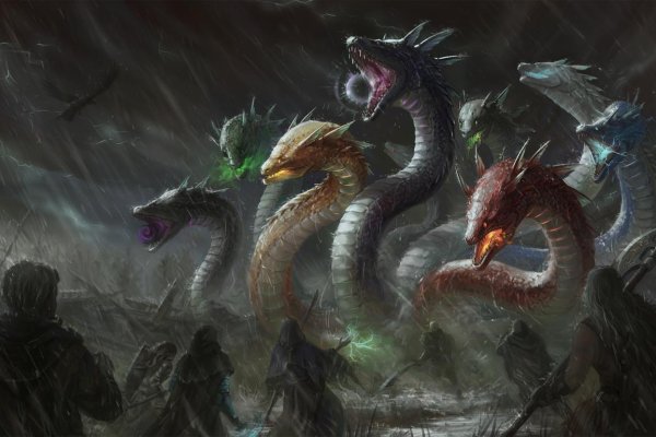 Kraken19 at